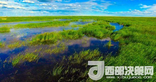 呼倫湖濕地。吳勇攝