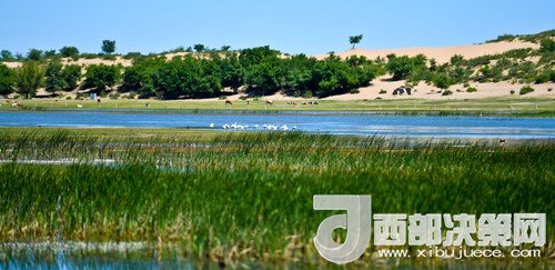 阿魯科爾沁保護(hù)區(qū)濕地沙丘。吳勇攝