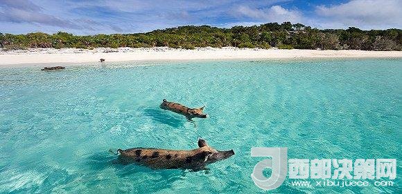 全球最佳海灘榜單出爐 我們選了10個(gè)來(lái)好好介紹