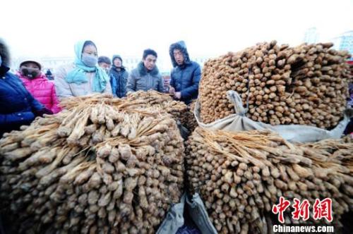 甘肅岷縣中國當歸城內(nèi)中藥材交易場景。楊艷敏 攝